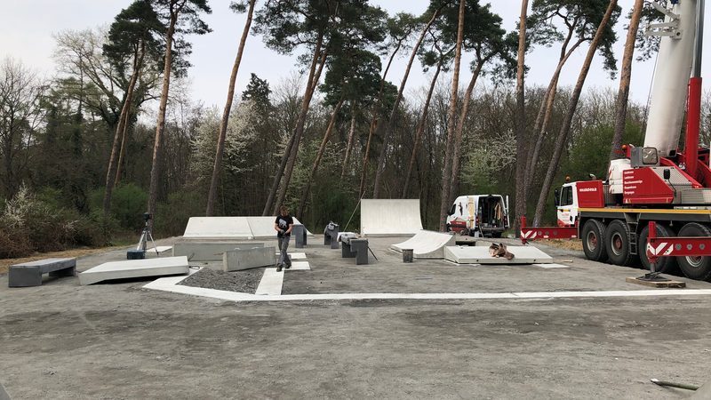 Bau einer Skateanlage aus Beton in einem Kiefernwald